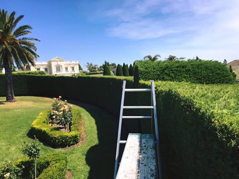 property-maintenance-mornington-peninsula_1.jpg