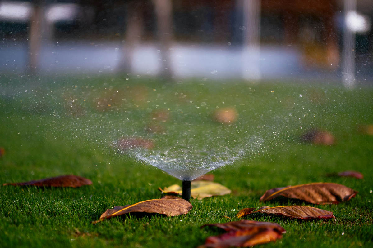 sprinklers.jpg